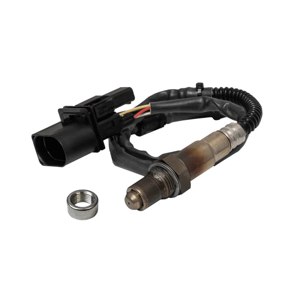 O2 Sensors