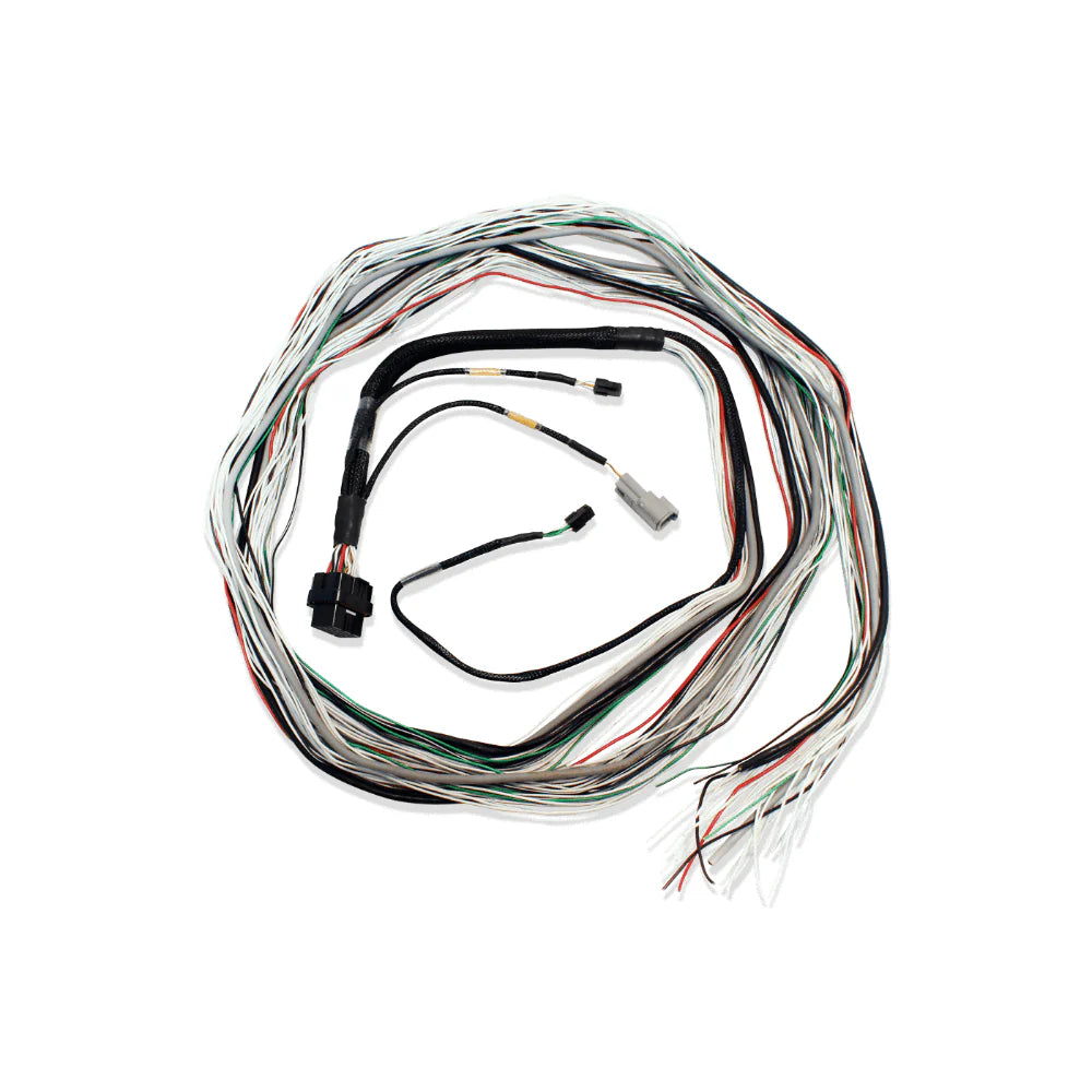 FT600 / FT700 A & B UNTERMINATED HARNESS