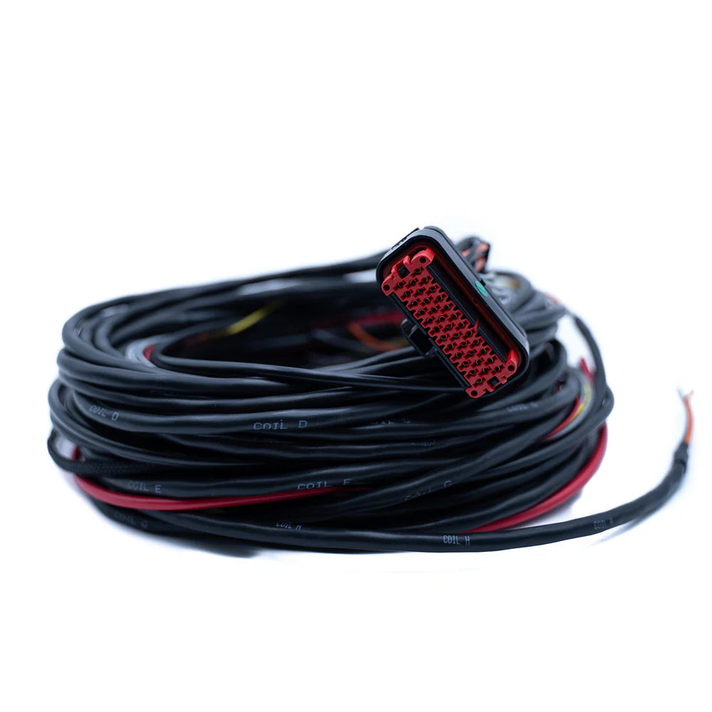 FTSPARK HARNESS (4, 6 or 8 coil)